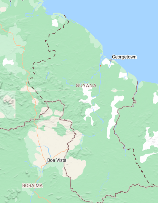 12 Year Old Guyana Column Still