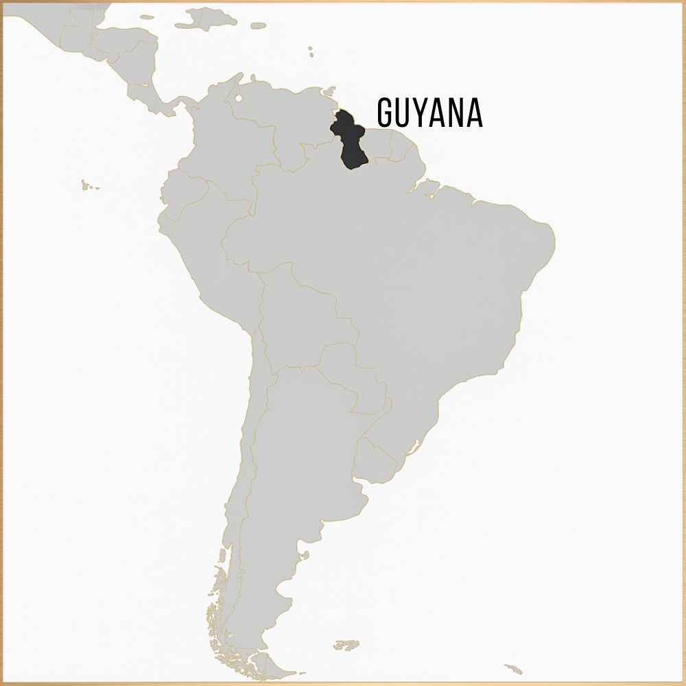 12 Year Old - Guyanan Rum - Column Still