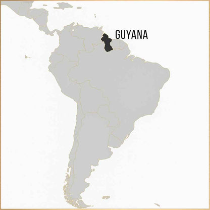 12 Year Old - Guyanan Rum - Column Still