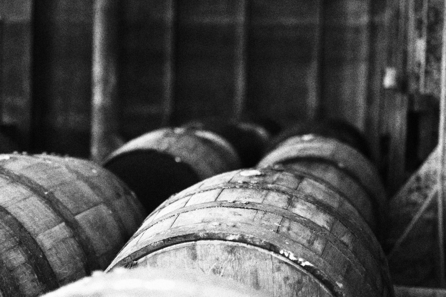 SINGLE-CASK RUM EXPERIENCE